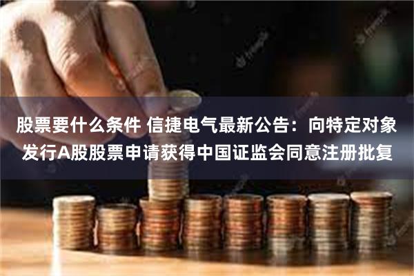 股票要什么条件 信捷电气最新公告：向特定对象发行A股股票申请获得中国证监会同意注册批复