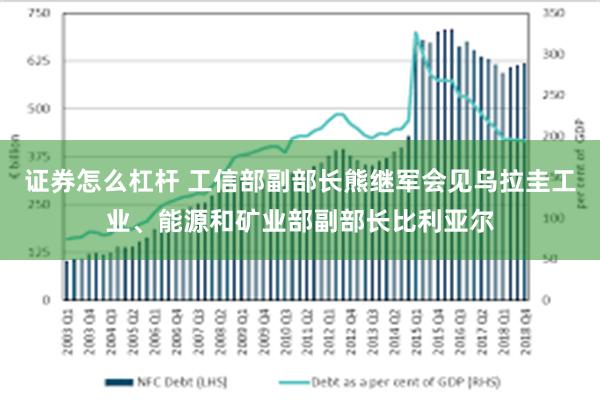 证券怎么杠杆 工信部副部长熊继军会见乌拉圭工业、能源和矿业部副部长比利亚尔