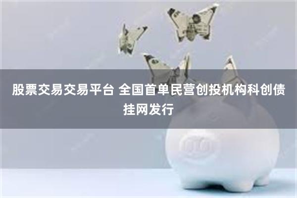 股票交易交易平台 全国首单民营创投机构科创债挂网发行